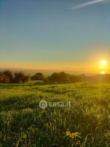 Terreno agricolo in commerciale in SS187