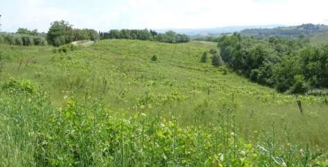 Terreno agricolo in commerciale in Via Taddeino Taddeini