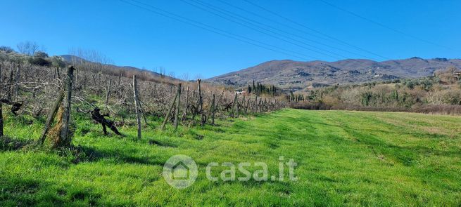 Terreno agricolo in commerciale in 