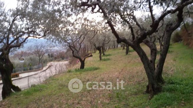 Terreno agricolo in commerciale in Via eremo