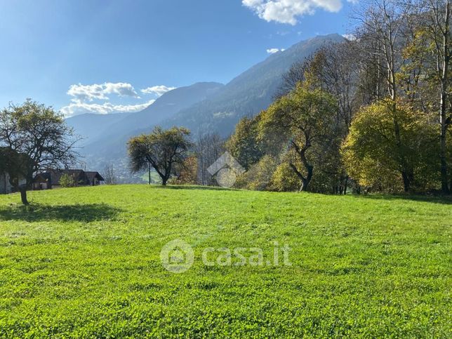 Terreno edificabile in residenziale in Via Massimeno