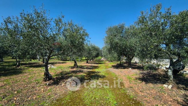 Terreno agricolo in commerciale in 
