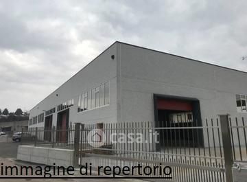 Capannone in commerciale in 