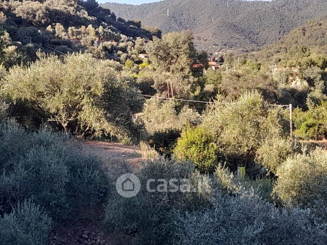 Terreno agricolo in commerciale in Viale Europa