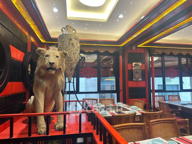 Attivitã /licenza (con o senza mura) in commerciale in Via Barberini