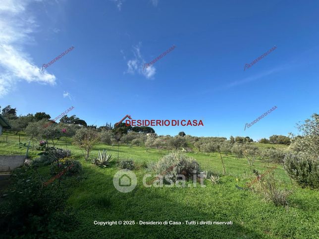 Terreno agricolo in commerciale in Colonia Cozzo Impalastro
