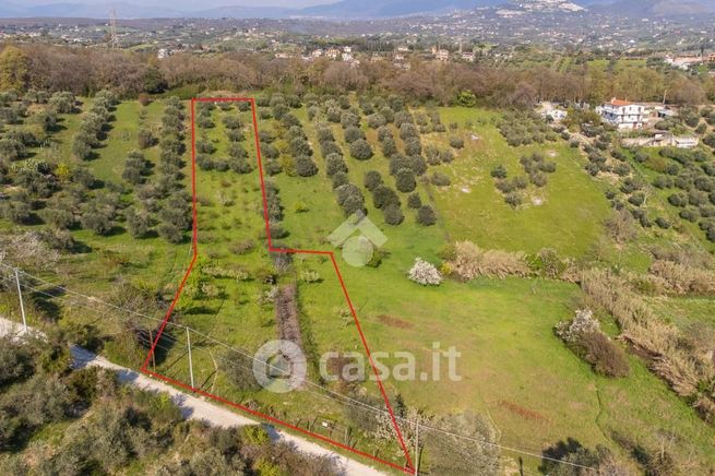 Terreno agricolo in commerciale in Via Torre dei Tucci