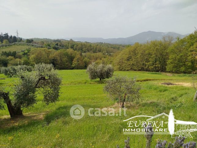 Terreno agricolo in commerciale in Via Gonzarelli