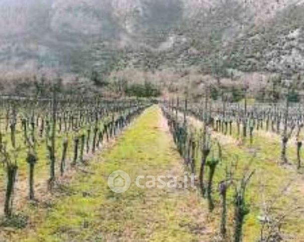 Terreno agricolo in commerciale in Strada Statale 12