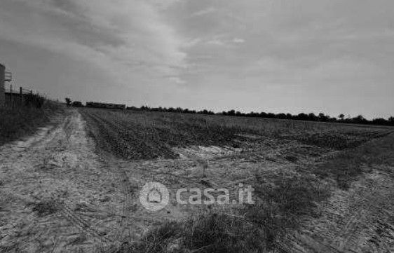 Terreno agricolo in commerciale in Via Olmo