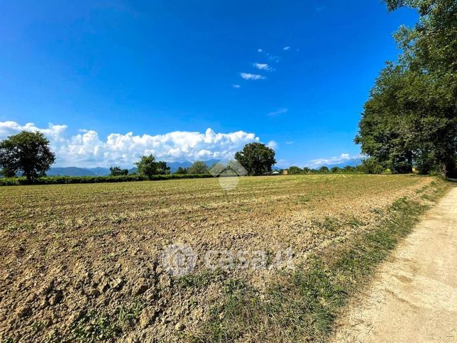 Terreno agricolo in commerciale in Via delle Noveglie 1