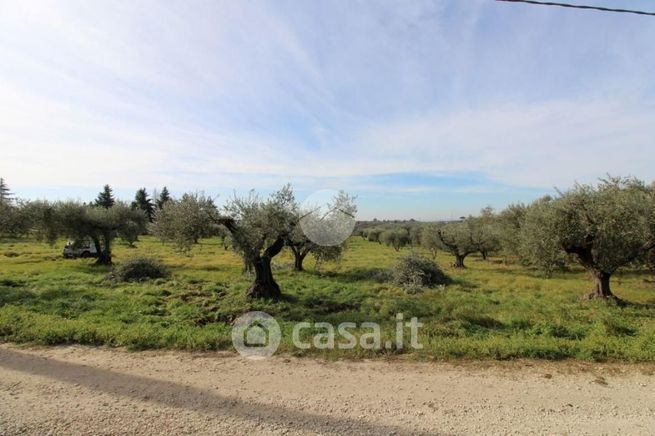 Terreno agricolo in commerciale in Via delle Valli 1