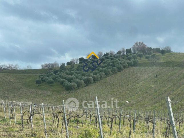 Terreno agricolo in commerciale in 