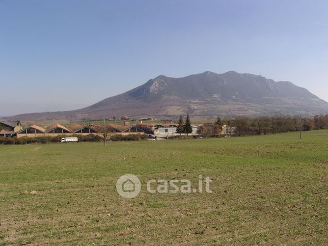 Terreno agricolo in commerciale in Via flaminia km22