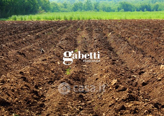 Terreno agricolo in commerciale in Via Cà Brazzo 45