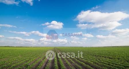 Terreno agricolo in commerciale in 