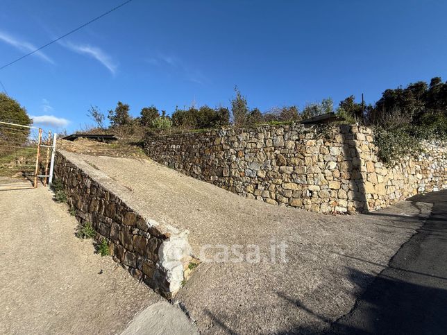 Terreno agricolo in commerciale in Via Grossi Bianchi 267