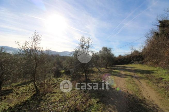 Terreno agricolo in commerciale in Strada Provinciale 26a