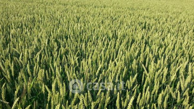 Terreno agricolo in commerciale in Via Antonio e Nicolò Beccari