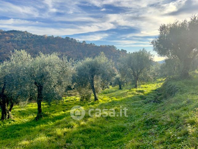 Terreno edificabile in residenziale in Strada Vicinale Perinaldo