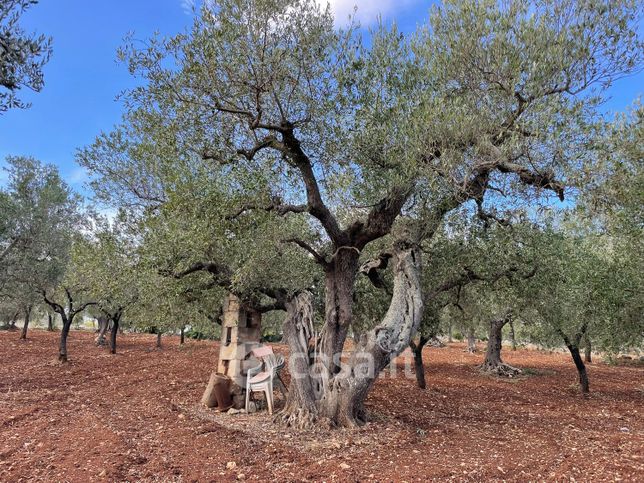 Terreno agricolo in commerciale in Contrada Coreggia