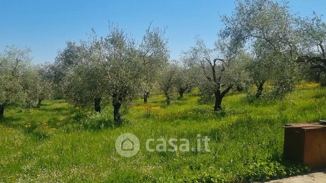 Terreno agricolo in commerciale in Via San Sebastiano