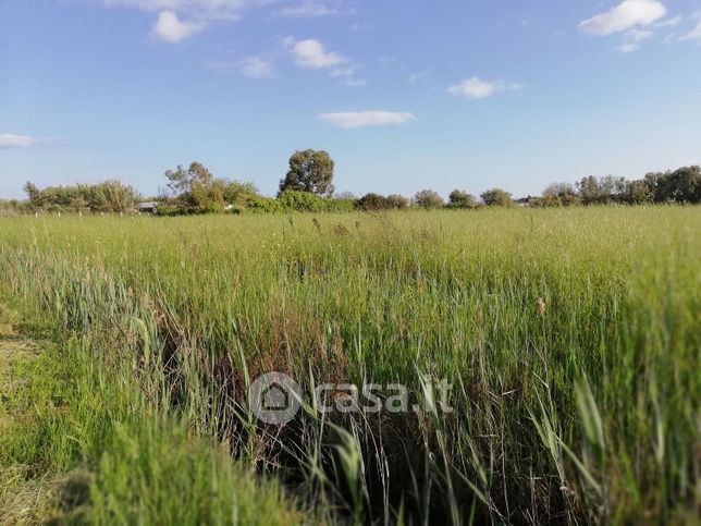Terreno agricolo in commerciale in Via Mortacino
