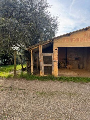 Terreno agricolo in commerciale in 