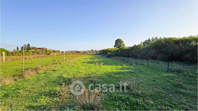 Terreno agricolo in commerciale in 4ª Strada Terra e Teula