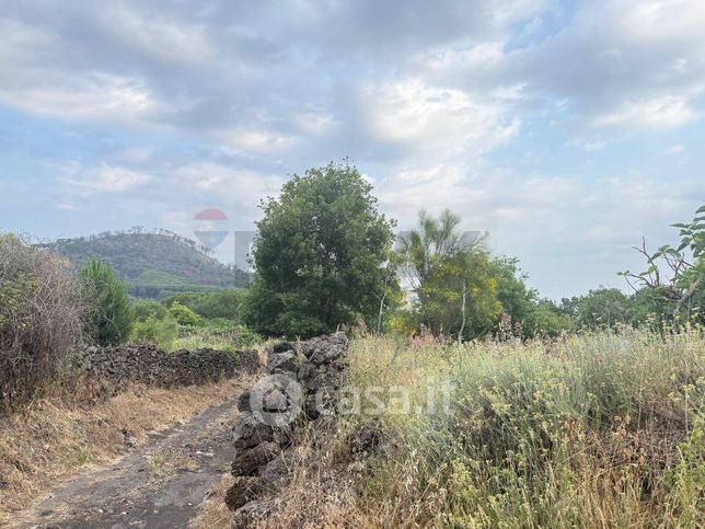 Terreno agricolo in commerciale in Via Etnea