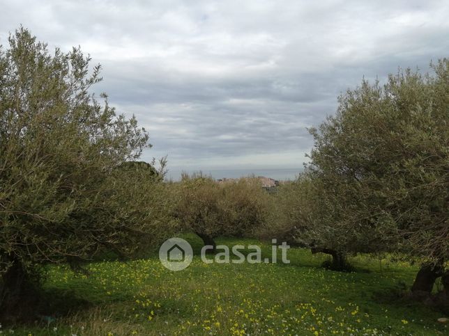 Terreno agricolo in commerciale in Contrada Figurella