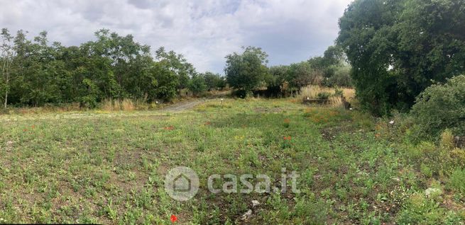 Terreno agricolo in commerciale in Via Alcaloro 49