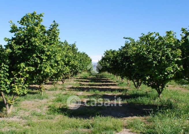 Terreno agricolo in commerciale in 