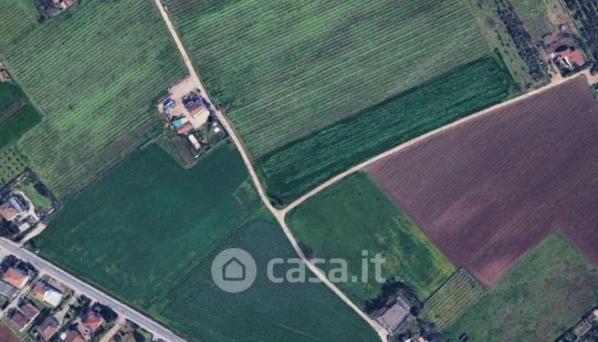 Terreno agricolo in commerciale in Via Viola
