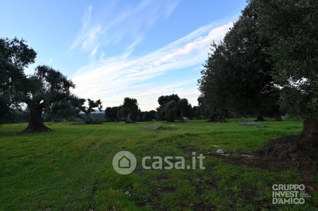 Terreno agricolo in commerciale in 