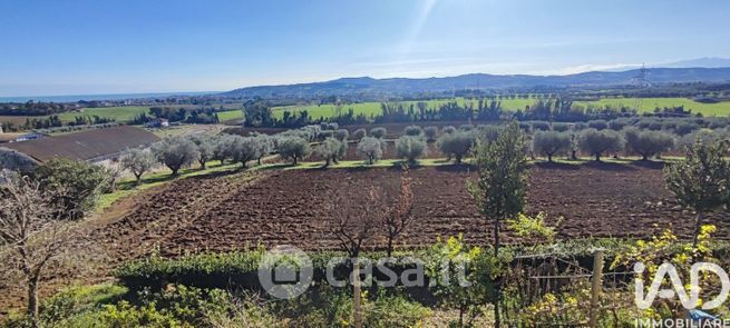 Terreno agricolo in commerciale in Via per Mosciano 113