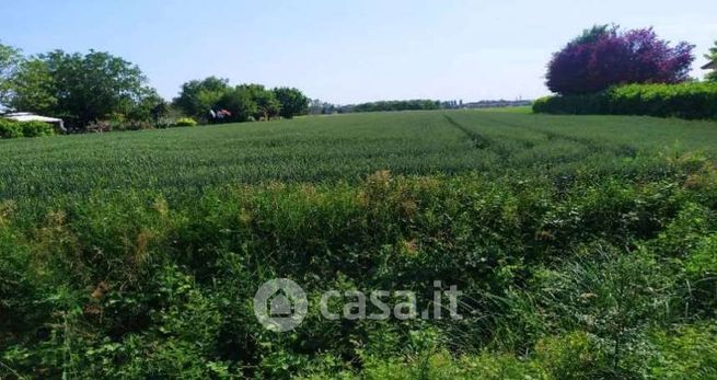 Terreno agricolo in commerciale in Corso Silvio Trentin