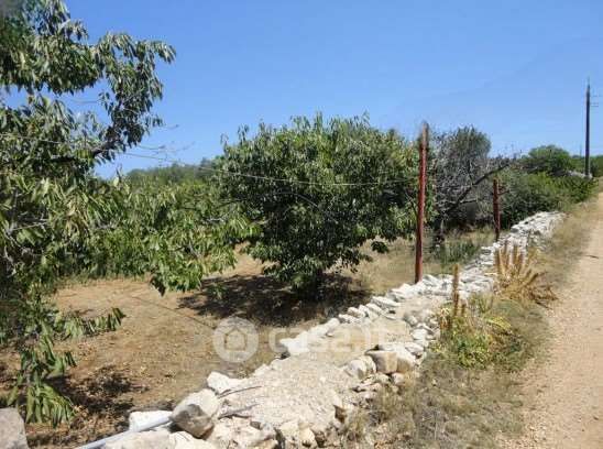 Terreno agricolo in commerciale in Strada Statale 172