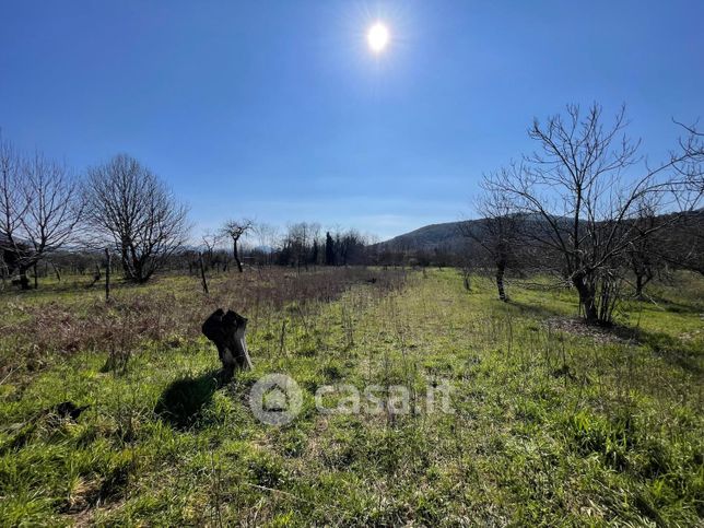 Terreno agricolo in commerciale in Via MARZI