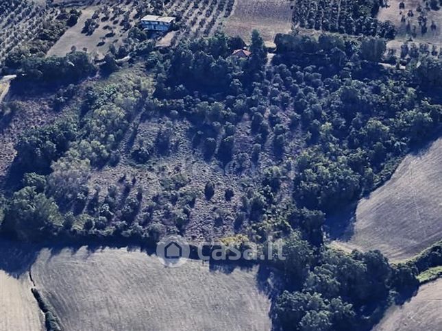 Terreno agricolo in commerciale in Contrada Selva