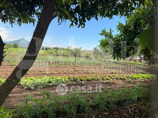 Terreno agricolo in commerciale in Via Quattro Chiese