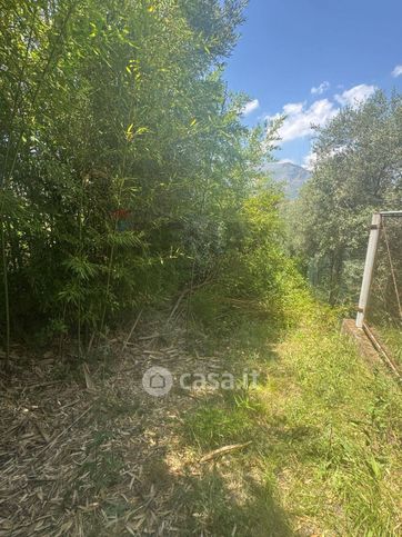 Terreno agricolo in commerciale in Via Per Castelforte