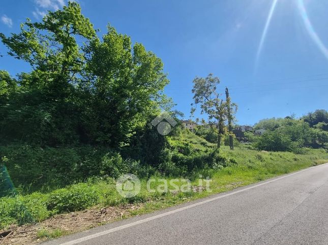 Terreno agricolo in commerciale in Via di Saturnana 4