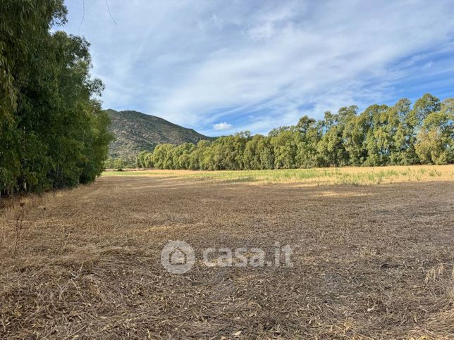 Terreno agricolo in commerciale in Via dell'Erica