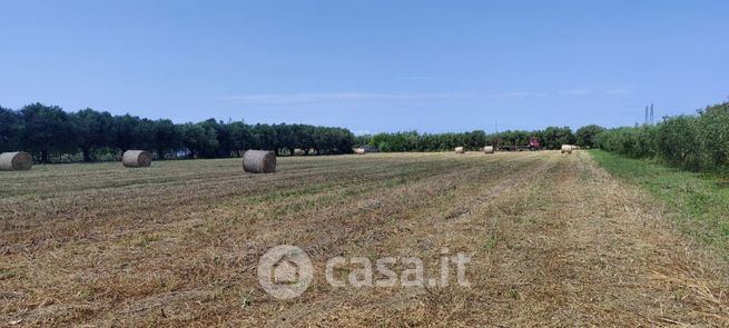 Terreno agricolo in commerciale in Via PAPALEONE