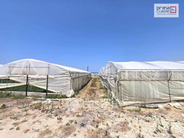 Terreno agricolo in commerciale in Contrada Berdia
