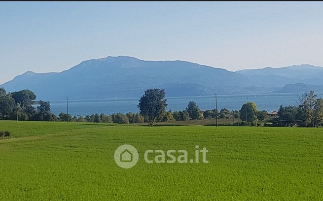 Terreno agricolo in commerciale in 