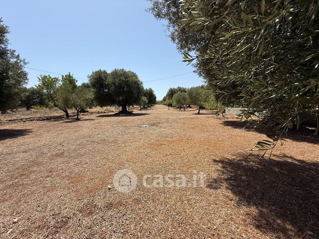Terreno agricolo in commerciale in Tuppina