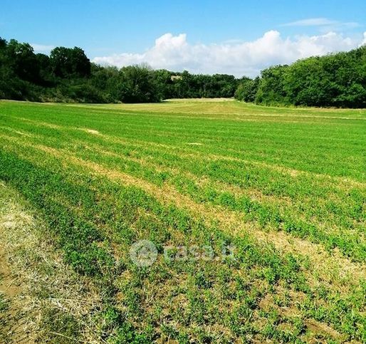 Terreno agricolo in commerciale in Via Giacomo Matteotti