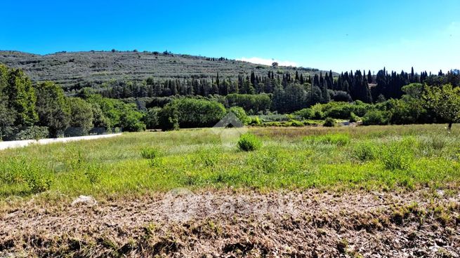 Terreno agricolo in commerciale in Via Orticelli